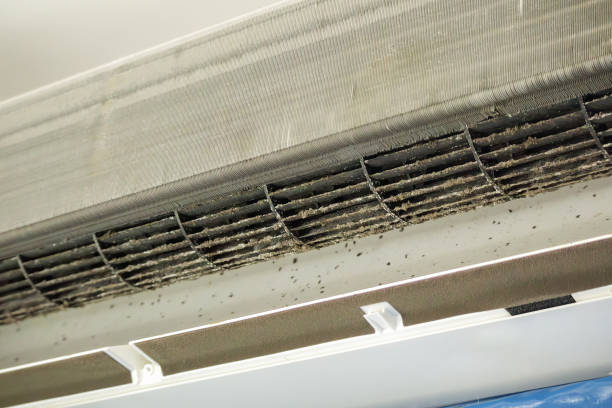 Best Commercial HVAC Duct Cleaning  in Sorgho, KY