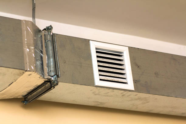 Best Local Air Duct Cleaning Services  in Sorgho, KY